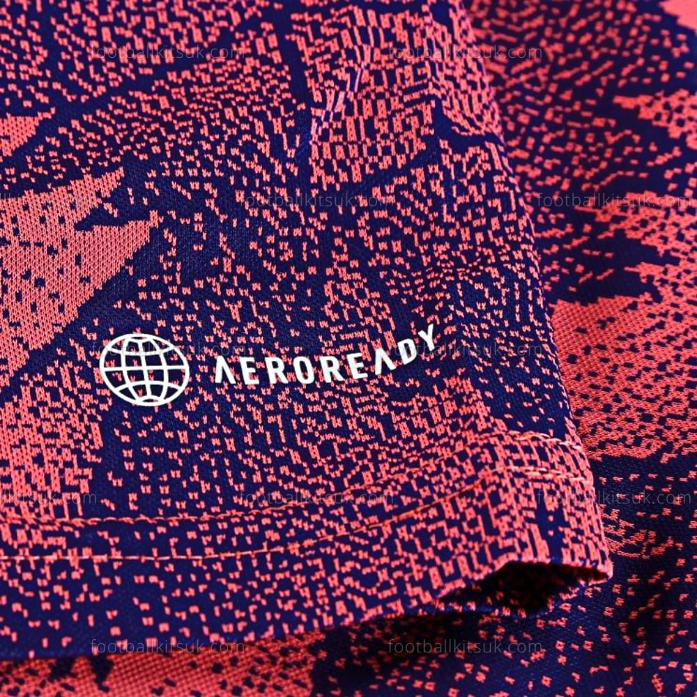 Juventus Third Shirt 22/23