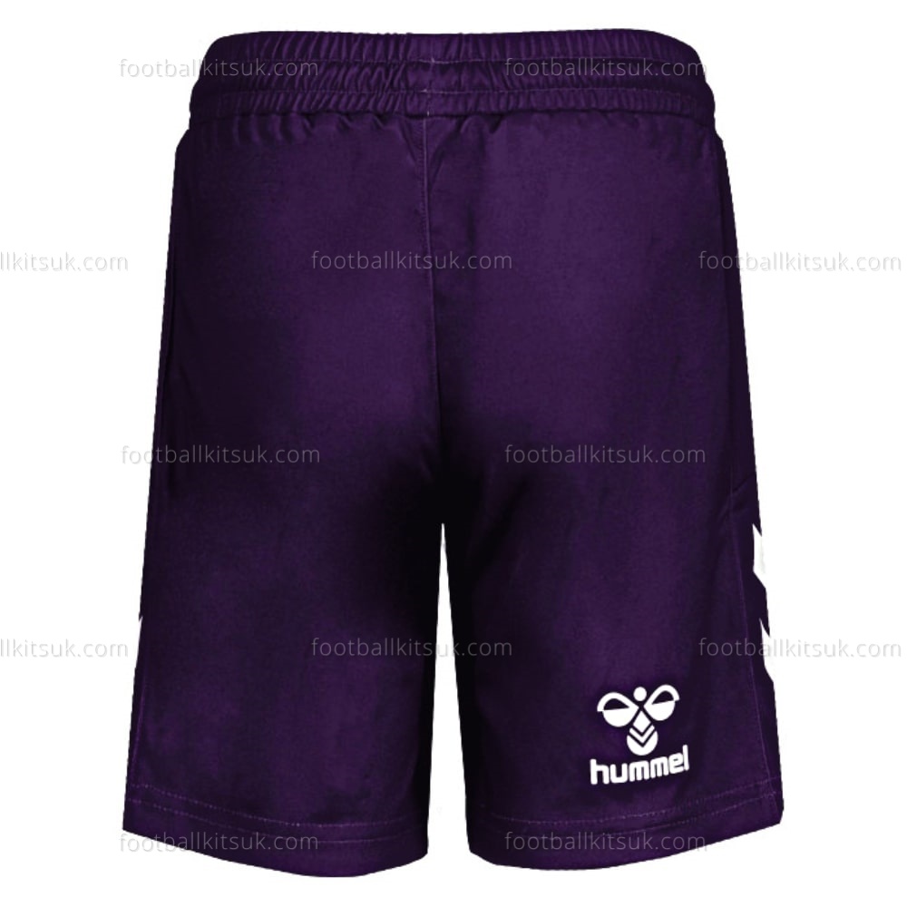 Southampton Goalkeeper Third Kids 22 23 Football Kits UK (8)