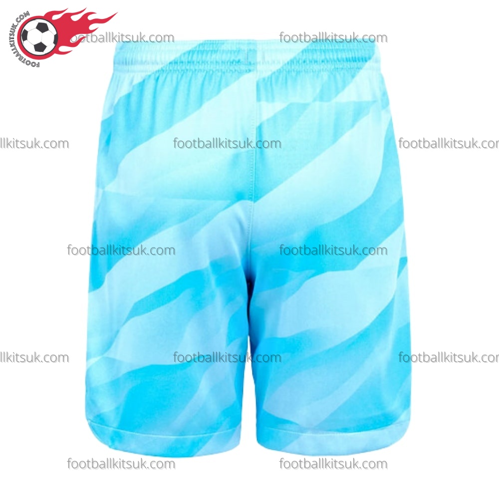 Tottenham Goalkeeper Blue Kids Football Kits UK