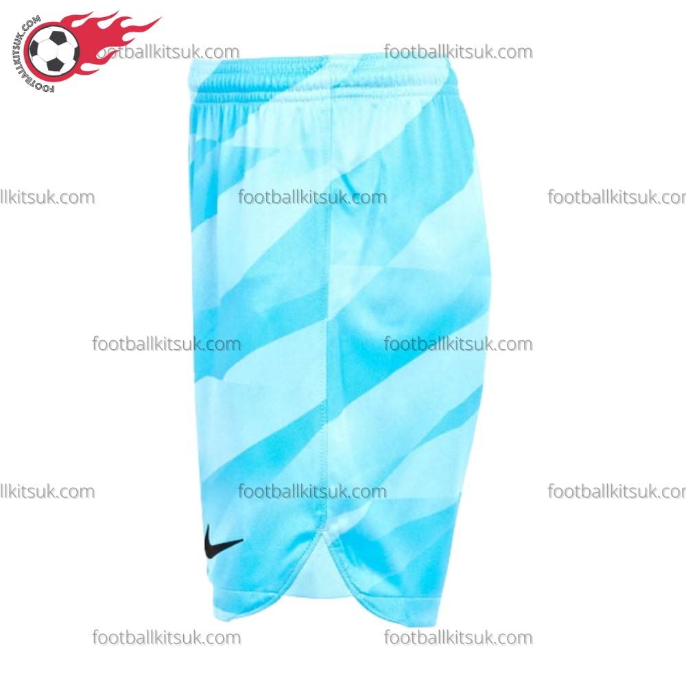 Tottenham Goalkeeper Blue Kids Football Kits UK